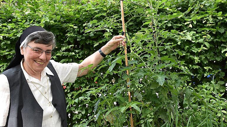 Schwester Lydia findet Entspannung bei der Gartenarbeit, auch wenn es nur mal zwischendurch darum geht, einen Blick auf die Tomaten im kleinen Patientengarten im Innenhof von St. Josef zu werfen. Anfang Juni, als dieses Bild entstand, waren die Tomaten natürlich noch ein Stück kleiner.