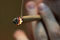 Weil er mit Marihuana gedealt haben soll, musste sich ein 22-jähriger Handwerker vor dem Haßfurter Amtsgericht verantworten.