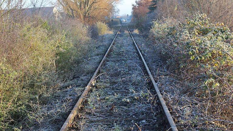 Nicht 'eingleisig' sollten Lokaljournalisten aus Rathäusern berichten. Symbolisch steht dafür die teilweise zugewachsene Strecke der Steigerwaldbahn.