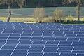 So wie auf diesem Bild aus Schleswig-Holstein könnte es auch bei Sand bald aussehen. Dort soll ein Solarpark entstehen, an dem Bürgerinnen und Bürger Geschäftsanteile kaufen können.