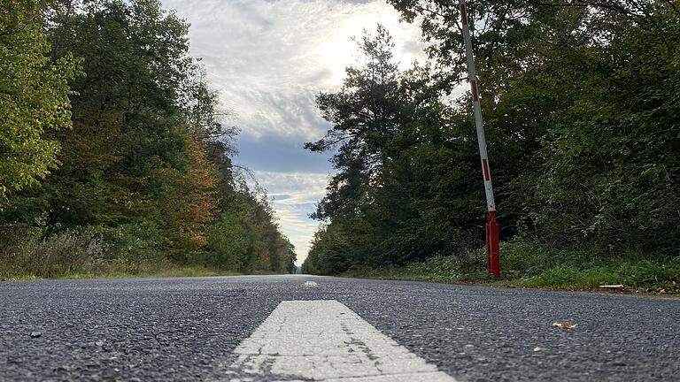 Rund zwei Kilometer lang ist die Trasse durch den Kitzinger Klosterforst, um deren Öffnung lange Zeit gerungen wurde.