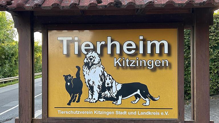 Der Neubau des Kitzinger Tierheims steht nach vielen Jahren der Planung und Irritationen in den Startlöchern, im März geht es los. Der Neubau des Kitzinger Tierheims steht nach vielen Jahren der Planung und Irritationen in den Startlöchern, im März geht es los.