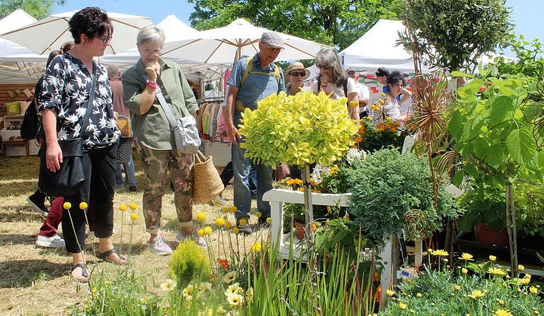 Eine Vielzahl an bunten Pflanzen und Stauden ließen sich bei den Gartenträumen in Traustadt bestaunen. Eine Vielzahl an bunten Pflanzen und Stauden ließen sich bei den Gartenträumen in Traustadt bestaunen.