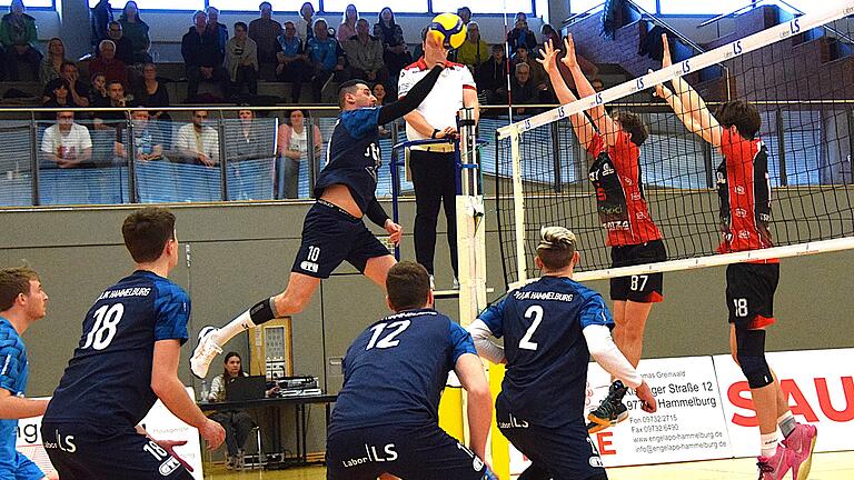 Volleyball aus Hammelburg - Das Netz ist das Hoheitsgebiet von Hammelburgs Angreifer Branko Damjanovic, hier in Aktion beim 3:0-Sieg über den TSV Mühlfeld II. Volleyball aus Hammelburg - Das Netz ist das Hoheitsgebiet von Hammelburgs Angreifer Branko Damjanovic, hier in Aktion beim 3:0-Sieg über den TSV Mühlfeld II.