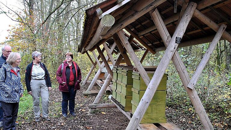 Begeistert waren die Besucher aus Veitshöchheim vom Bienenzentrum in Bad Königshofen und den überdachten Bienenständen.