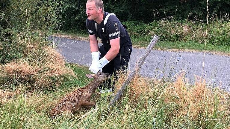 Michael Schneider, der Kommandant der Feuerwehr Steinbach, befreite zusammen seinen Kameraden einen Rehbock und einen Fuchs, die beide im Beregnungsteich des Golfplatzes schwammen. Michael Schneider, der Kommandant der Feuerwehr Steinbach, befreite zusammen seinen Kameraden einen Rehbock und einen Fuchs, die beide im Beregnungsteich des Golfplatzes schwammen.