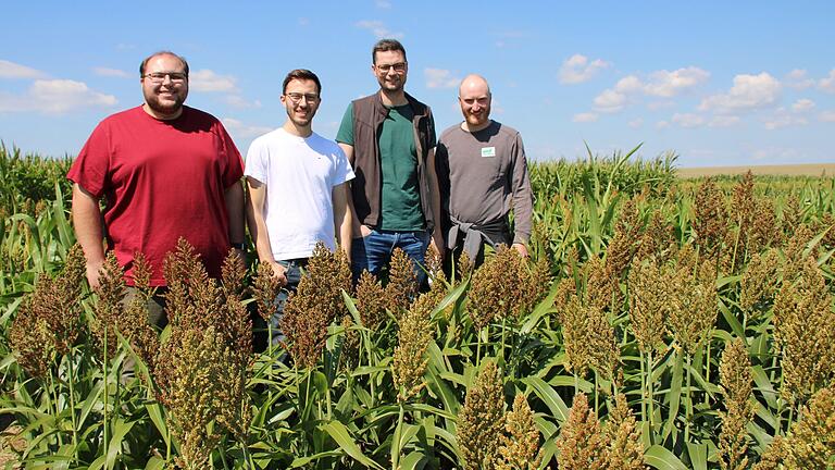 Es ist wichtig, zu erkunden, welche Pflanzen im trockenen Unterfranken eine Zukunft haben. Darüber sind sich die angehenden Landwirtschaftsmeister Johannes Lindner, Tobias Bach, Fabian Liebst und Daniel Drescher einig. Es ist wichtig, zu erkunden, welche Pflanzen im trockenen Unterfranken eine Zukunft haben. Darüber sind sich die angehenden Landwirtschaftsmeister Johannes Lindner, Tobias Bach, Fabian Liebst und Daniel Drescher einig.