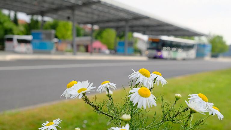 Dem Landkreis könnte was blühen in Sachen 49-Euro-Ticket: Der Billig-Tarif hat so seine Tücken, wenn die Kommunen an den Einnahmen durch den Ticket-Verkauf nicht angemessen beteiligt sind. Dem Landkreis könnte was blühen in Sachen 49-Euro-Ticket: Der Billig-Tarif hat so seine Tücken, wenn die Kommunen an den Einnahmen durch den Ticket-Verkauf nicht angemessen beteiligt sind.