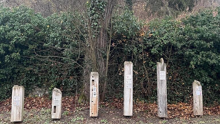 Der Ramsthaler Friedhof bietet verschiedene Arten von Bestattungsmöglichkeiten an. Auch eine anonyme Urnenbestattung unter einem Baum ist möglich. Aus diesem Grund lehnte der Gemeinderat einen Friedwald, der in der Bürgerversammlung vorgeschlagen ...       -  Der Ramsthaler Friedhof bietet verschiedene Arten von Bestattungsmöglichkeiten an. Auch eine anonyme Urnenbestattung unter einem Baum ist möglich. Aus diesem Grund lehnte der Gemeinderat einen Friedwald, der in der Bürgerversammlung vorgeschlagen wurde, in der jüngsten Sitzung ab.