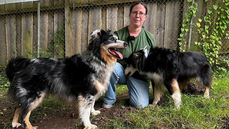 Die beiden Australien Shepherd-Rüden Jack und Daniel zählen zu den Tieren im Lohrer Tierheim, die schwer zu vermitteln sind, erklärt Tierpflegerin Christine Drechsler