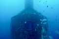 120 Tage unter Wasser: Deutscher bricht Weltrekord       -  Koch drehte auch Videos von Fischen aus seiner Kapsel.