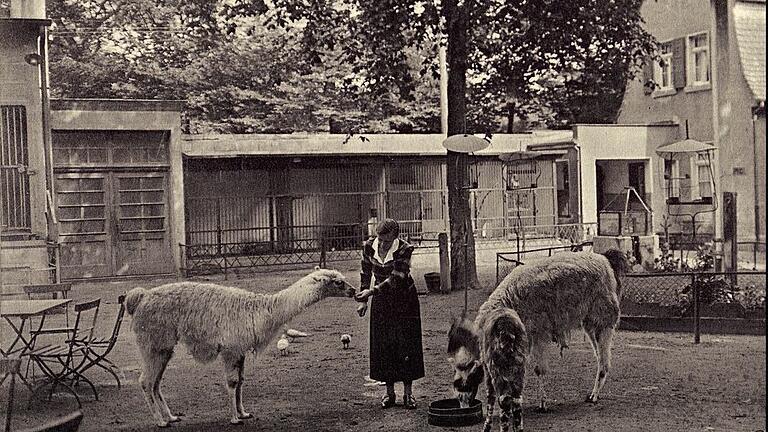 Bis 1944 gab es einen Zoo in den Wehranlagen. Trotz sorgfältiger Recherche konnten der Rechteinhaber des Fotos nicht ermittelt werden. Rechteinhaber werden gebeten, sich mit der Redaktion in Verbindung zu setzen. Bis 1944 gab es einen Zoo in den Wehranlagen. Trotz sorgfältiger Recherche konnten der Rechteinhaber des Fotos nicht ermittelt werden. Rechteinhaber werden gebeten, sich mit der Redaktion in Verbindung zu setzen. 