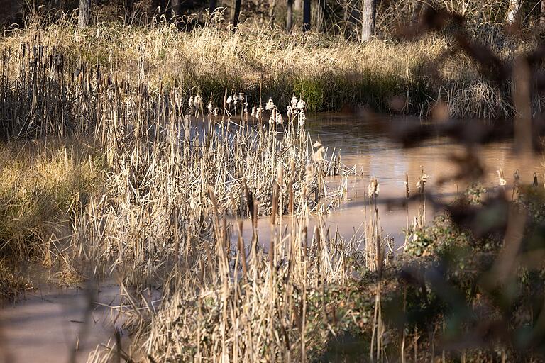 Die Tour führt an etlichen Wasserflächen vorbei, die mal weit und ruhig und auch mal klein und verborgen zwischen den Bäumen hervorlugen. Die Tour führt an etlichen Wasserflächen vorbei, die mal weit und ruhig und auch mal klein und verborgen zwischen den Bäumen hervorlugen.