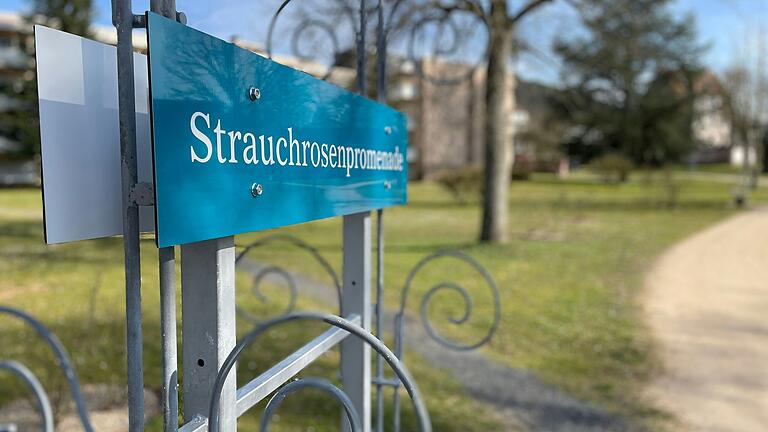 Die Staatsbad GmbH investiert aktuell in den südlichen Bereich des Luitpoldparks, etwa an der Strauchrosenpromenade.