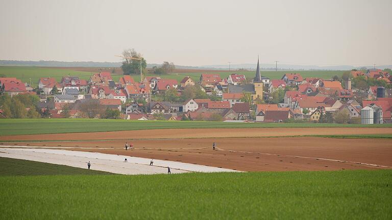 Auf den fruchtbaren Böden im nördlichen Landkreis Würzburg soll nach Vorstellung der Landwirte und Behörden einmal Uferfiltrat das Problem des knappen Wassers lösen. Aber nicht alle Gemeinden wollen sich daran beteiligen.&nbsp;