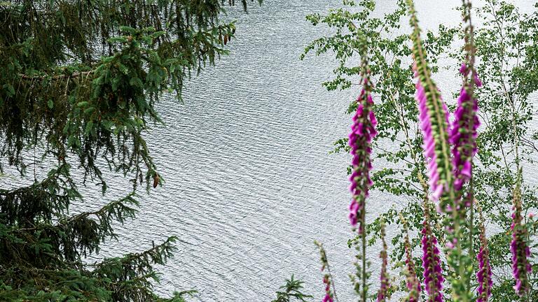 Trinkwassertalsperre Mauthaus, Ködeltalsperre       -  Für die Wasserversorgung werden jährlich etwa 12,6 Mio. Kubikmeter Rohwasser entnommen. (Archivfoto)