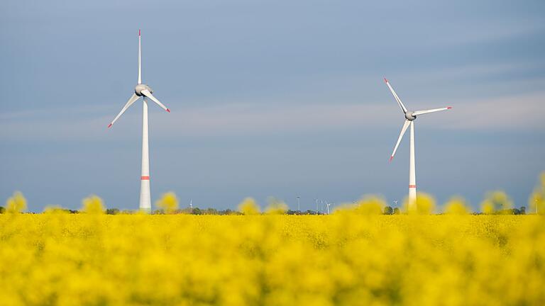 Rapsblüte in Niedersachsen       -  Die Netzagentur verzeichnet derzeit einen Boom bei der Genehmigung neuer Windenergieanlagen an Land. (Symbolbild)