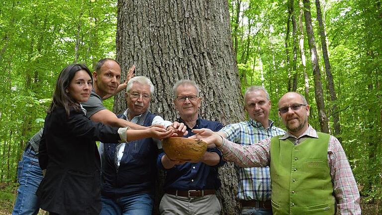 Buchen-Samen als Symbol: Im Bild einige der Partner des jetzt in Bad Kissingen gegründeten Bündnisses Pro Nationalpark Rhön.