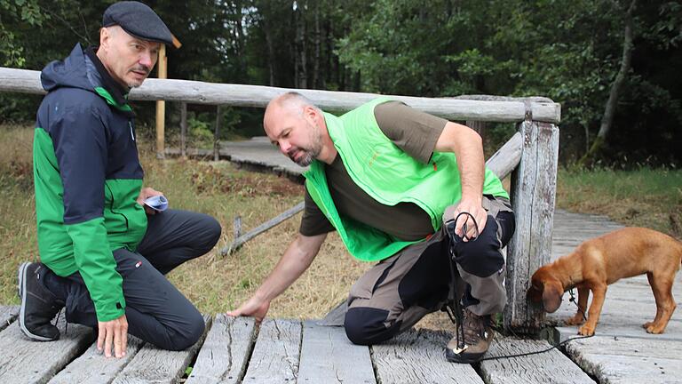 Ein nächster Abschnitt des Bohlenstegs im Schwarzen Moor wird ausgetauscht. Wie nötig die Maßnahme ist verdeutlichen Klaus Spitzl (links) und Schutzgebietsbetreuer Torsten Kirchner vor Ort, während Dachsbracke Anni ganz anderen Spuren nachgeht. Ein nächster Abschnitt des Bohlenstegs im Schwarzen Moor wird ausgetauscht. Wie nötig die Maßnahme ist verdeutlichen Klaus Spitzl (links) und Schutzgebietsbetreuer Torsten Kirchner vor Ort, während Dachsbracke Anni ganz anderen Spuren nachgeht. 