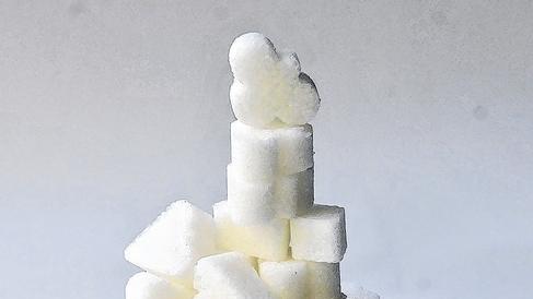 160 Gramm: die Ausbeute einer Zuckerübe.