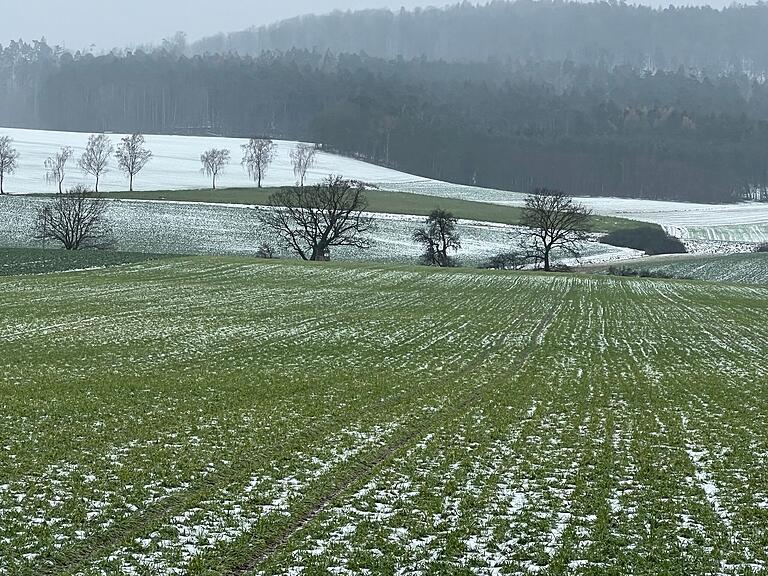 Eine neue Vorgabe aus der EU verlangt: 80 Prozent der Ackerflächen müssen eine Bodenbedeckung aufweisen.