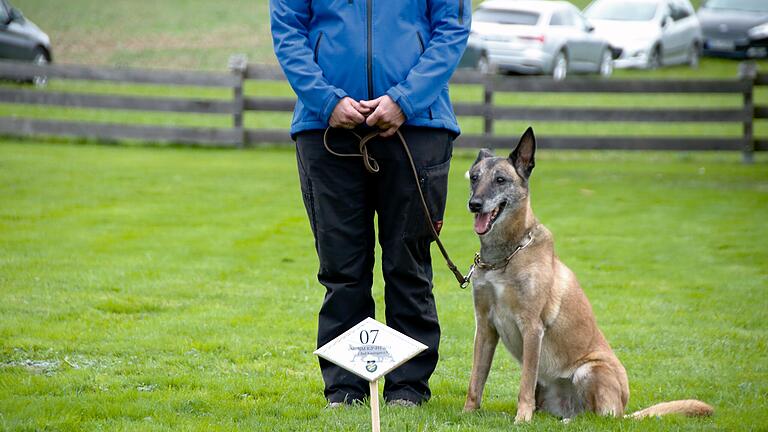 Bayerische Meisterschaft der Fährtenhunde in Bad Kissingen - Bayerische Meisterschaft der Fährtenhunde in Bad Kissingen. Bayerische Meisterschaft der Fährtenhunde in Bad Kissingen - Bayerische Meisterschaft der Fährtenhunde in Bad Kissingen.