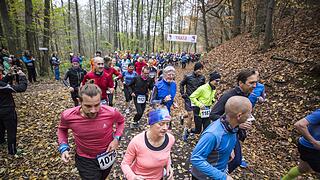 Weit über 900 Teilnehmer waren beim Waldmarathon in Zeil an den Start gegangen.
