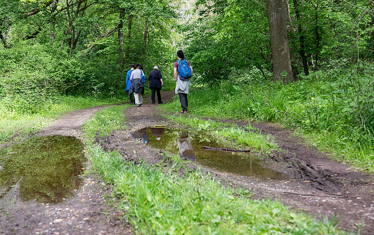 Wanderung durch das Tierschutzgebiet Garstadt. Es kann auch matschige Stellen geben. Wanderung durch das Tierschutzgebiet Garstadt. Es kann auch matschige Stellen geben.