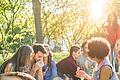 Entenrennen, Traumsafari, Hundemesse: 7 Tipps zum Wochenende