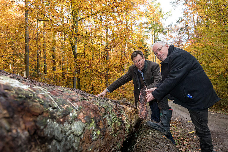 Karl-Georg Schönmüller (links), Leiter des Forstbetriebs der Stadt Würzburg, und Wolfgang Kleiner, Umweltreferent der Stadt, stehen hinter einem Stapel von zertifiziertem Holz im Steinbachtal. Karl-Georg Schönmüller (links), Leiter des Forstbetriebs der Stadt Würzburg, und Wolfgang Kleiner, Umweltreferent der Stadt, stehen hinter einem Stapel von zertifiziertem Holz im Steinbachtal.