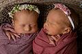 Linda und Amelie aus Sulzfeld sind am 30. September geboren worden.