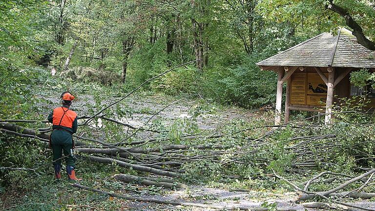 Nach massiven Sturmschäden ist der Weg von Ebrach in Richtung Steigerwaldzentrum bis auf Weiteres gesperrt. Am Dienstagvormittag begannen am Eingang zum Handthalgrund und am Grillplatz bei Ebrach die Aufräumarbeiten. Nach massiven Sturmschäden ist der Weg von Ebrach in Richtung Steigerwaldzentrum bis auf Weiteres gesperrt. Am Dienstagvormittag begannen am Eingang zum Handthalgrund und am Grillplatz bei Ebrach die Aufräumarbeiten.
