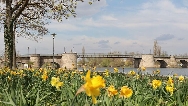 Frühlingserwachen an der Alten Mainbrücke: So bunt es derzeit am Kitzinger Mainkai zugeht, so sehr nagt der Rost an dem Bauwerk über den Fluss.