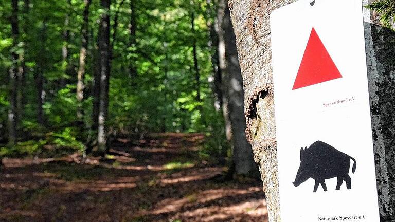 Die bayerische Staatsregierung strebt einen dritten Nationalpark an &ndash; neben dem Steigerwald und der Rhön ist auch der Spessart ein Kandidat. Kaum werden die Pläne bekannt, formiert sich im Spessart Widerstand. Seither wird diskutiert, ob ein Nationalpark gut oder schlecht für die Region wäre.