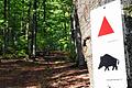 Die bayerische Staatsregierung strebt einen dritten Nationalpark an &ndash; neben dem Steigerwald und der Rhön ist auch der Spessart ein Kandidat. Kaum werden die Pläne bekannt, formiert sich im Spessart Widerstand. Seither wird diskutiert, ob ein Nationalpark gut oder schlecht für die Region wäre.