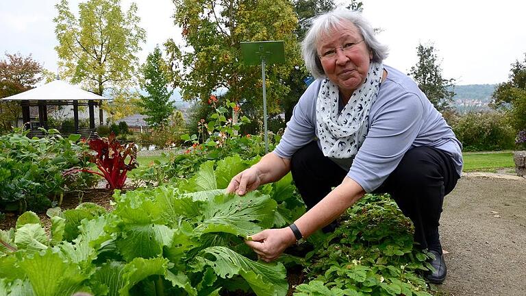 An diesem Chinakohl war die Schnecke dran. Deswegen gilt auch jetzt im Herbst: Am frühen Abend raus in den Garten und die Tiere absammeln, sagt Marianne Scheu-Helgert.