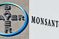 FILES-GERMANY-EU-US-AGRICULTURE-CHEMICALS-MERGER-BAYER-MONSANTO       -  Wollen fusionieren: Bayer und Monsanto