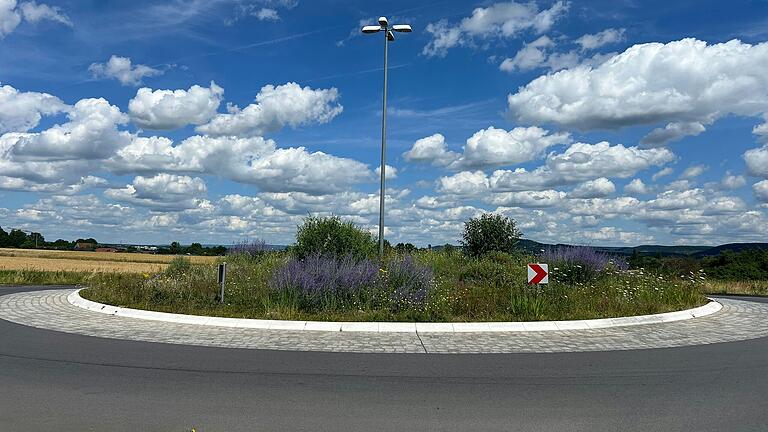 Am Kreisel bei Knetzgau ist während der Blütezeit das Summen vieler Insekten zu hören.