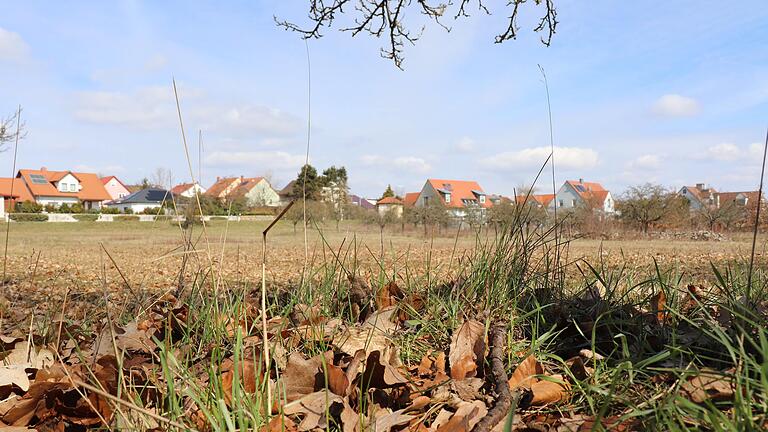 Umkämpftes Land: Diese Streuobstwiese in Astheim grenzt an das älteste Naturschutzgebiet des Landkreises und soll nun neun Wohnhäusern weichen.