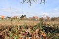 Umkämpftes Land: Diese Streuobstwiese in Astheim grenzt an das älteste Naturschutzgebiet des Landkreises und soll nun neun Wohnhäusern weichen.