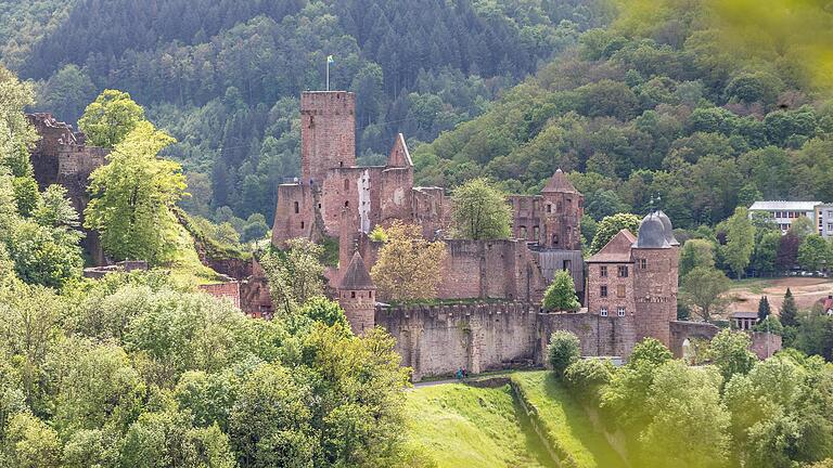Auf der Burgruine Wertheim, dem Wahrzeichen der Stadt Wertheim (Main-Tauber-Kreis), gibt es viel zu entdecken. Auf der Burgruine Wertheim, dem Wahrzeichen der Stadt Wertheim (Main-Tauber-Kreis), gibt es viel zu entdecken.