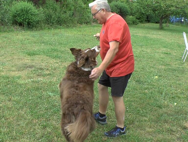 Auch mit Herrchen Karl-Heinz Mahr spielt 'Lasko' gerne im Garten.