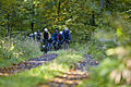 Mit geländegängigen Rennrädern unterwegs: Erster Schwalbe Gravel Ride in den Haßbergen.