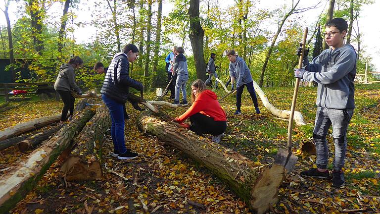 Wo gehobelt wird fallen Späne. Bei der Neugestaltung des Spielplatzes auf dem Festplatz helfen die Jugendlichen aus der 7. Klasse der Mittelschule Gaukönigshofen.