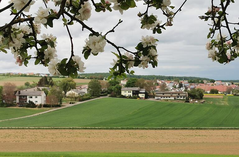 Die vor 60 Jahren errichteten Aussiedlerhöfe. Im Hintergrund die Ortslage von Großrinderfeld.