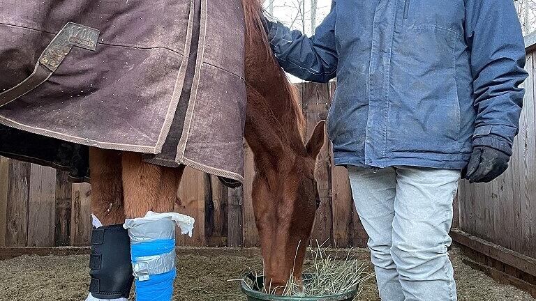 Simone Dietrich hat ein Herz für Tiere - auch und für allem für kranke und verletzte. Simone Dietrich hat ein Herz für Tiere - auch und für allem für kranke und verletzte.