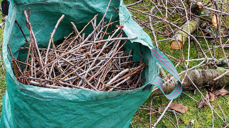 Der Baumschnitt lässt sich vielseitig verwenden. Krankes Holz muss unbedingt entsorgt werden.&nbsp;&nbsp;