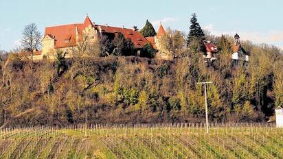 Verkauft: Schloss Frankenberg gilt als eines der Wahrzeichen der Region. Jetzt gehören Schloss und etwa 140 Hektar Land Peter Löw von der Livia-Group München.