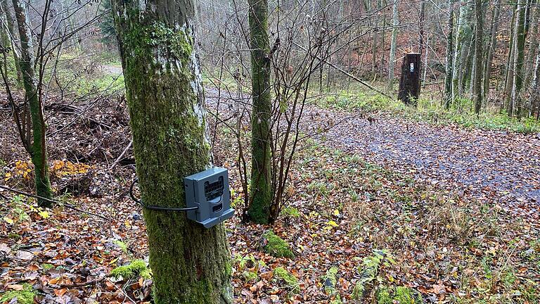 Mit Wildkameras in den betroffenen Bereichen sollen die Wölfe beobachtet werden. Mit Wildkameras in den betroffenen Bereichen sollen die Wölfe beobachtet werden. 