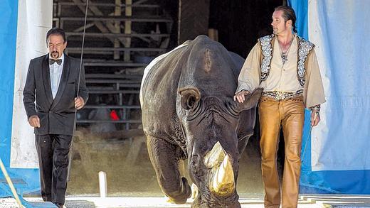 Nach dem Auftritt: Martin Lacey und Nashornbulle Tsavo. Nach dem Auftritt: Martin Lacey und Nashornbulle Tsavo.